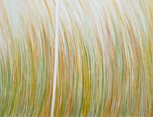 reinholdP1020360_2