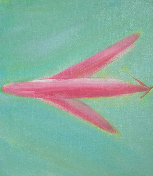Pink Plane
